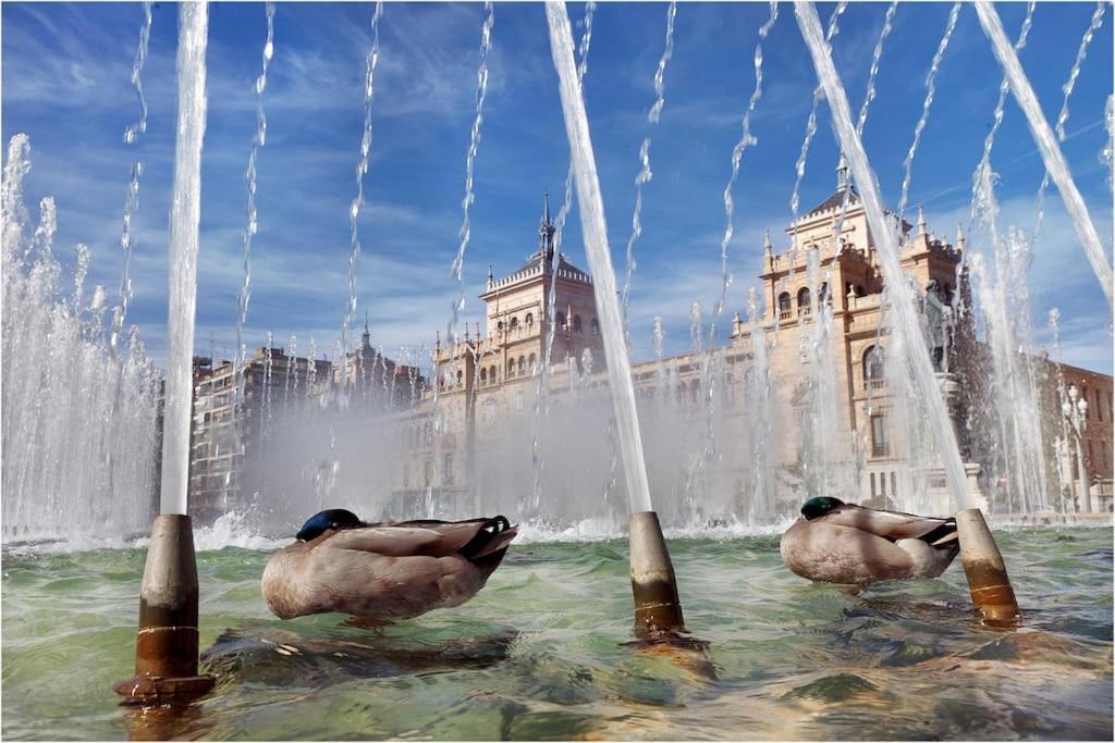 Atico La Antigua Valladolid Exteriér fotografie